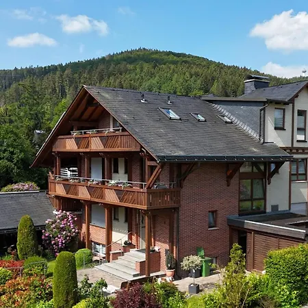 Haus Daut Appartamento Willingen (Upland)